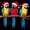 Christmas Parrots PNG – Tropical Holiday Bird Clipart