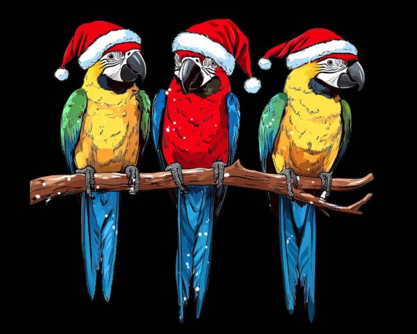 Christmas Parrots PNG – Tropical Holiday Bird Clipart