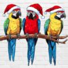 Christmas parrots PNG with tropical birds in Santa hats – holiday clipart white background digital download